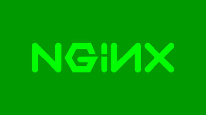 How To Check Nginx Version?