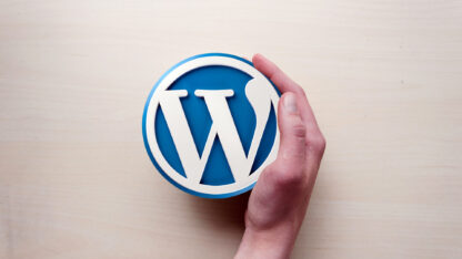 Compulsory Questions You Must Ask Before Hiring a WordPress Developer