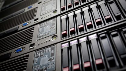 Different Web Hosting Services Your Business Needs