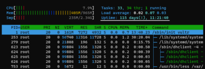 Why does htop show an exclamation mark next to uptime?