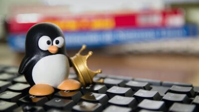Understanding Linux file permissions